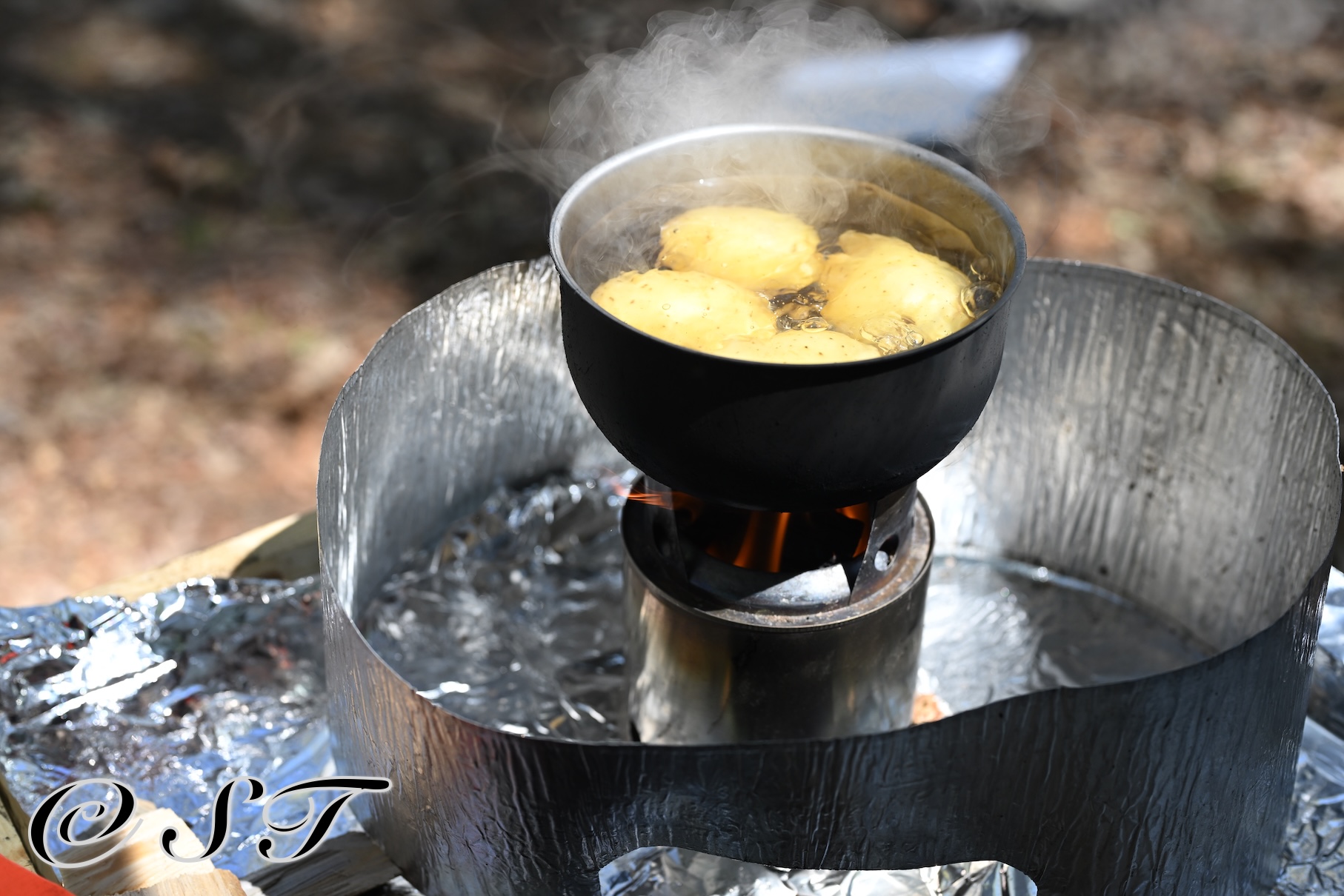 Camp Cooking