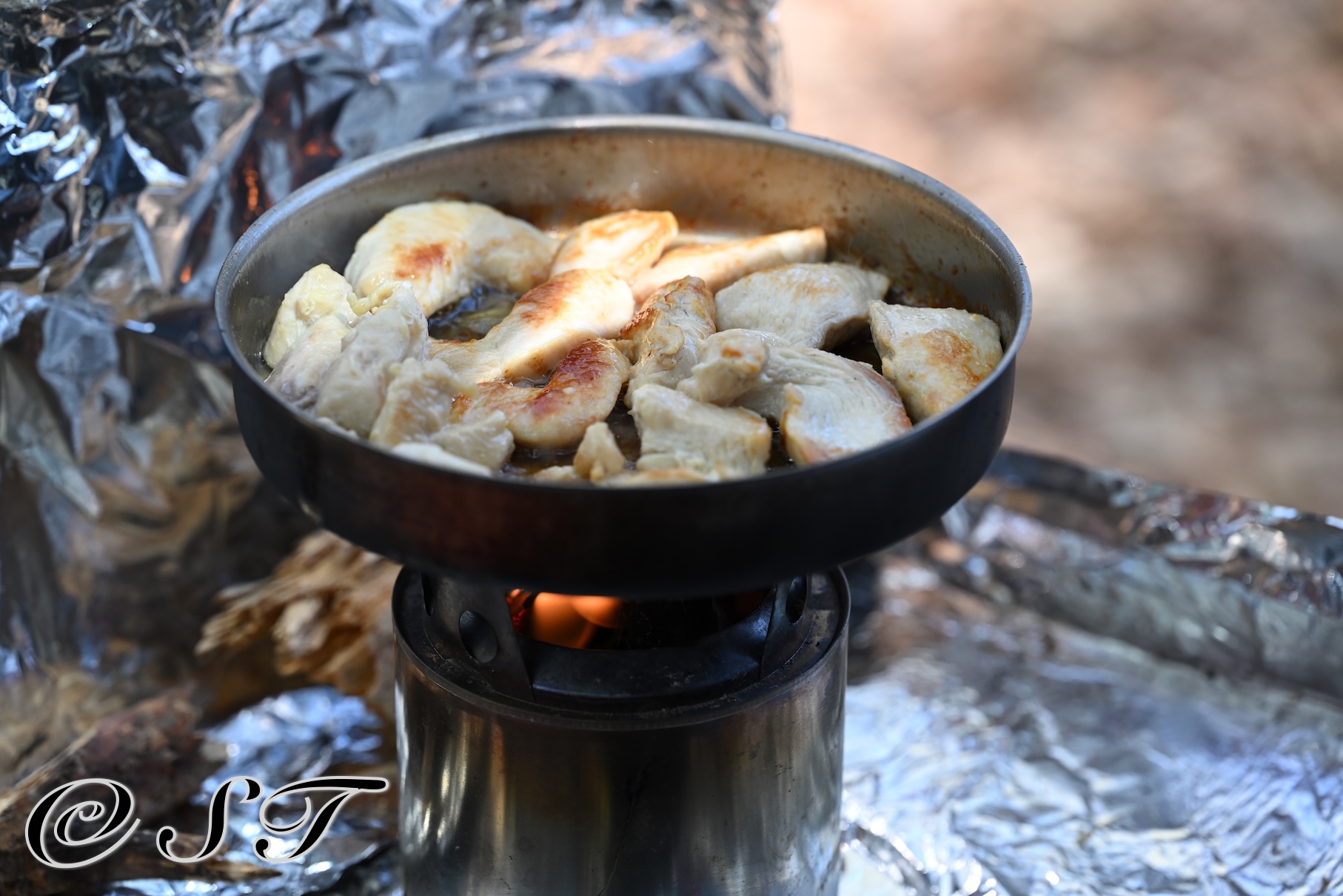 Camp Cooking