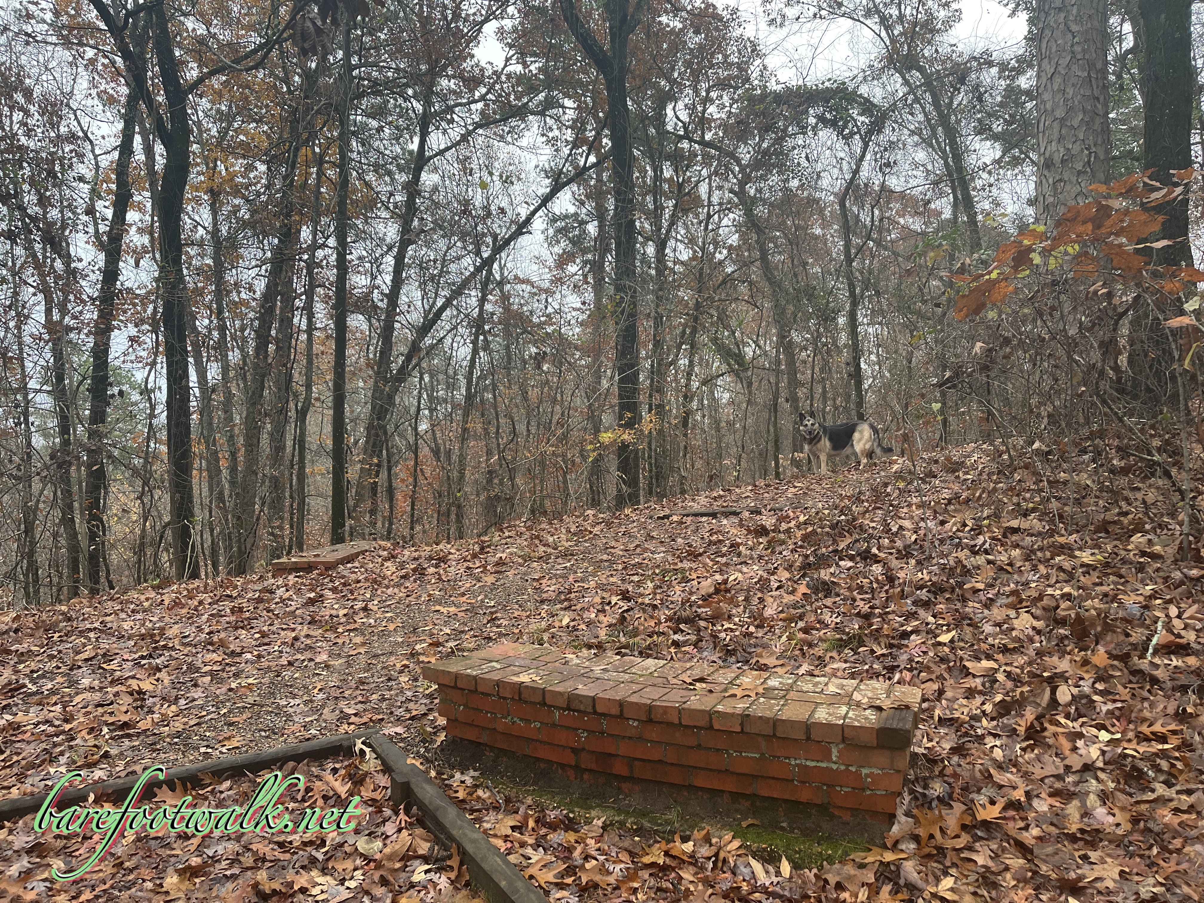 Jeff Busby Campground