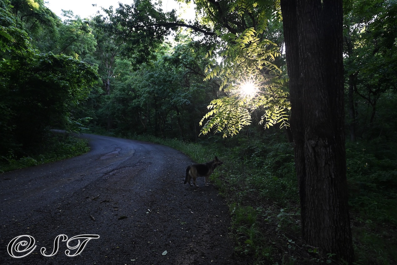 Twyla and sunset