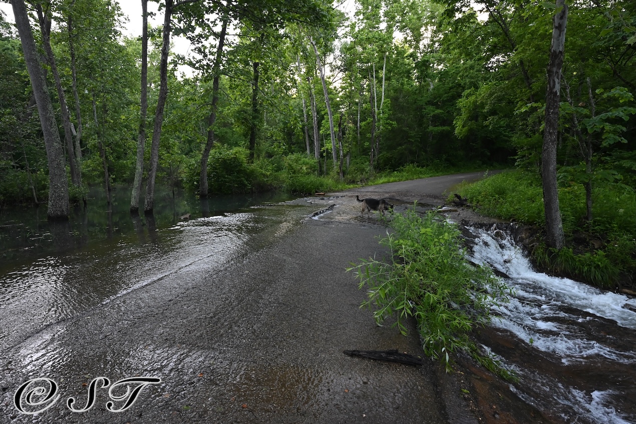 Flash flood