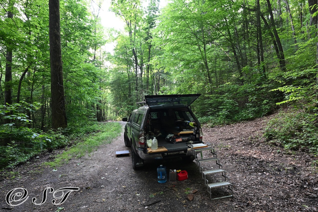 georgia