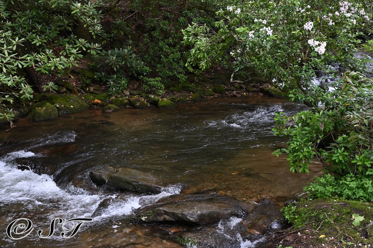 creek