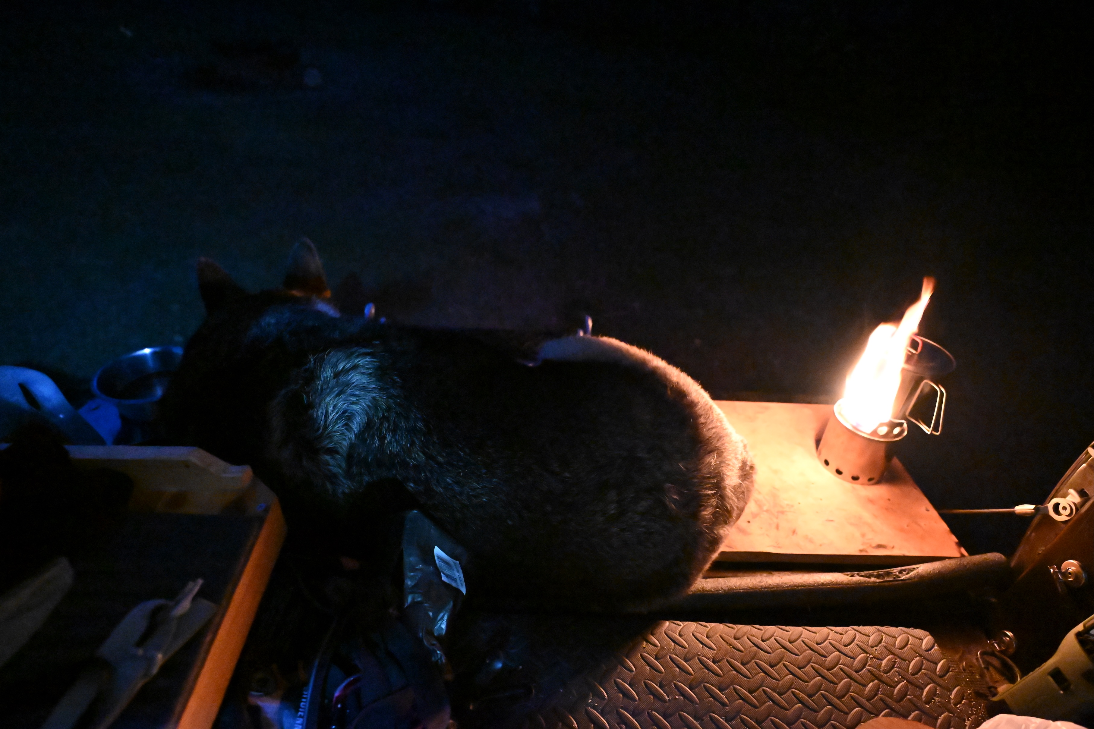 Bushbuddy stove