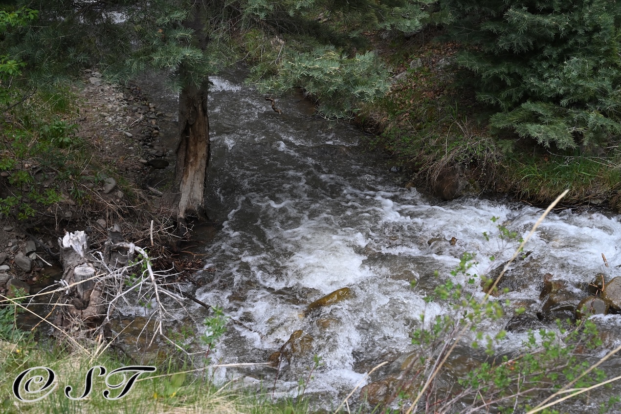 Creek