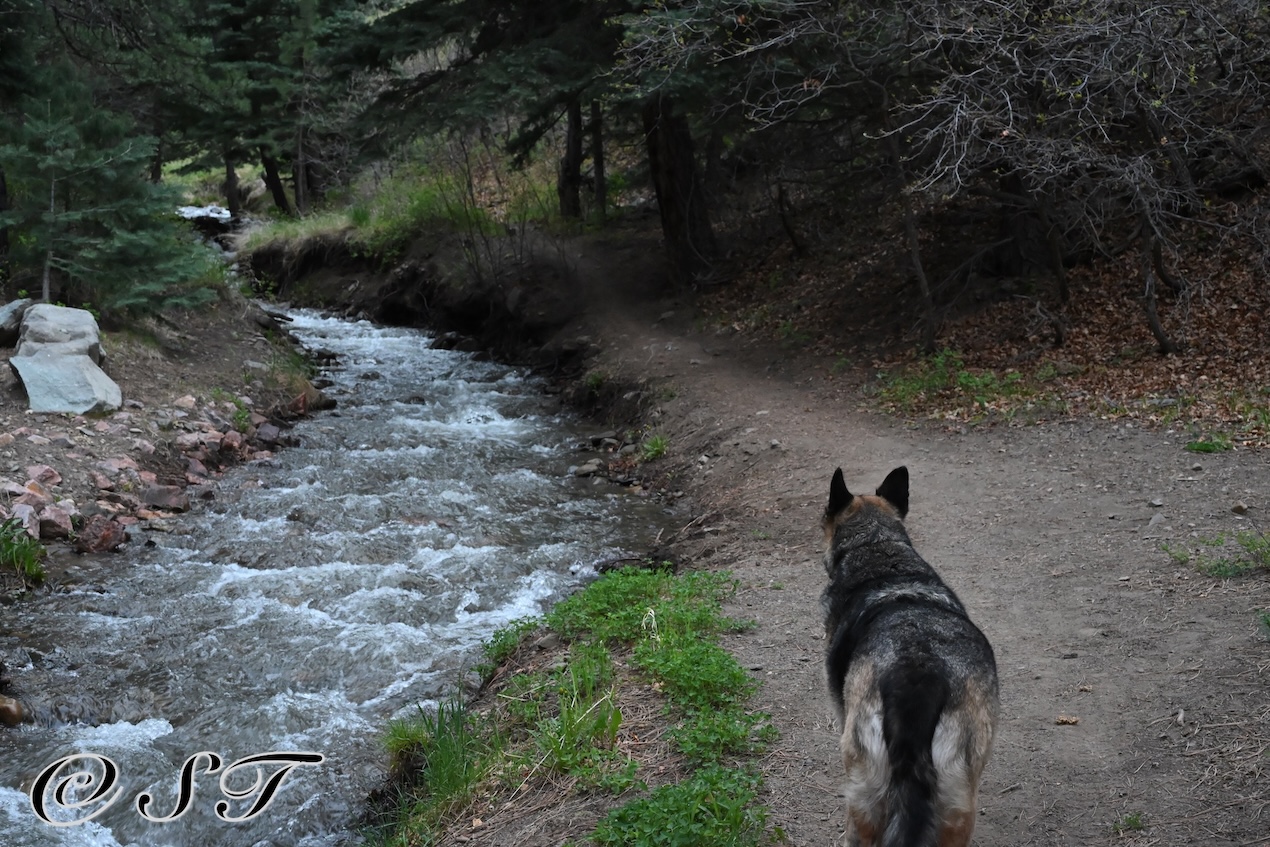 creek