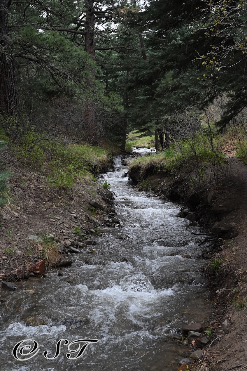 creek