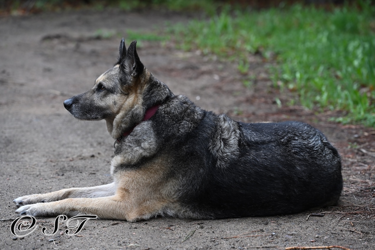 Twyla