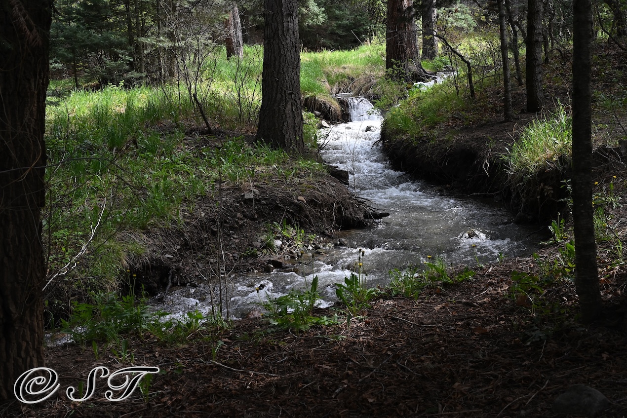 Creek