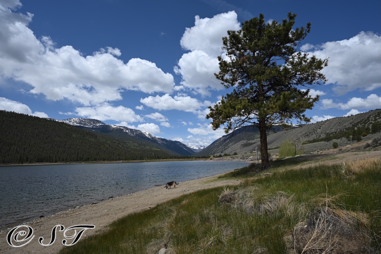 Lake and Mountains
