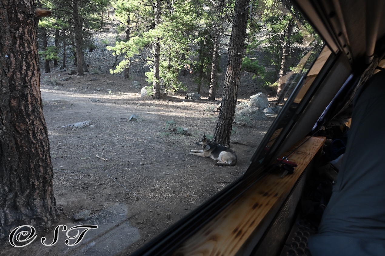 Truck camping