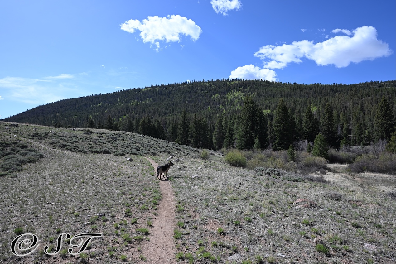 Twyla hiking