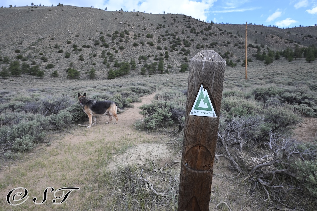 Twyla hiking