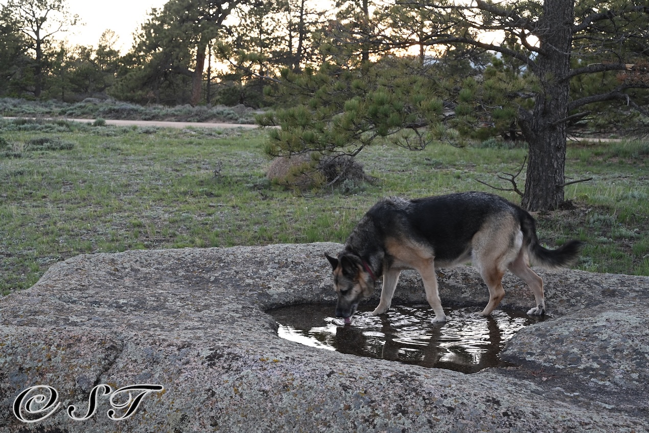 Twyla in a rock pond