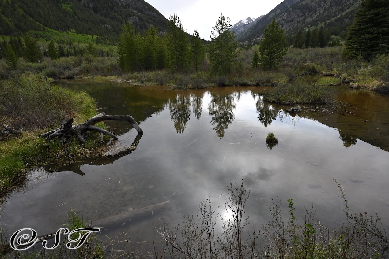 Mountain pond