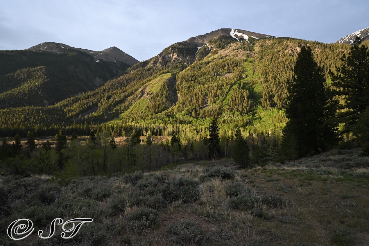 Mountains