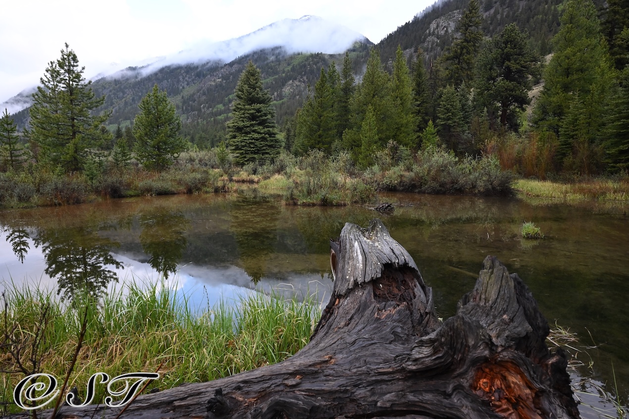 Mountain lake
