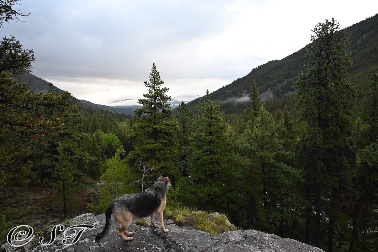 Twyla and mountains
